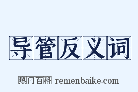 导管反义词是什么意思的图片